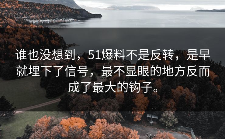 谁也没想到，51爆料不是反转，是早就埋下了信号，最不显眼的地方反而成了最大的钩子。  第1张