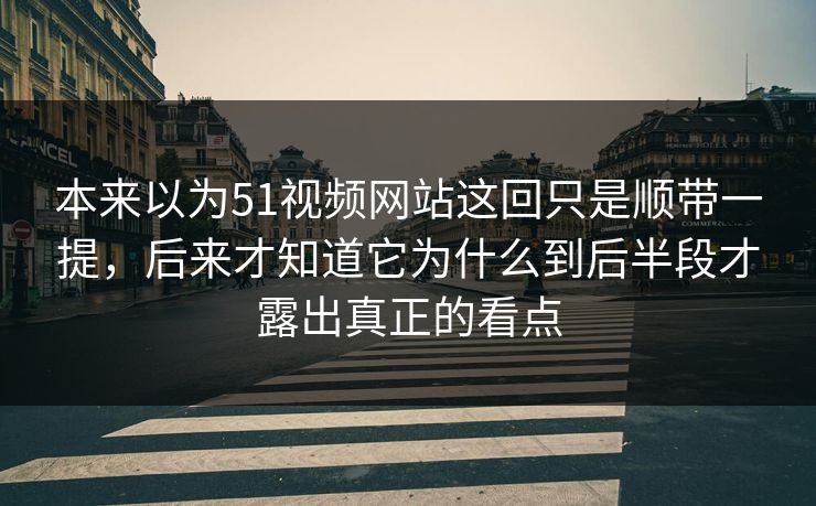 本来以为51视频网站这回只是顺带一提，后来才知道它为什么到后半段才露出真正的看点  第1张