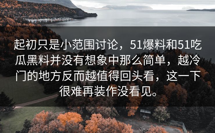起初只是小范围讨论，51爆料和51吃瓜黑料并没有想象中那么简单，越冷门的地方反而越值得回头看，这一下很难再装作没看见。  第1张