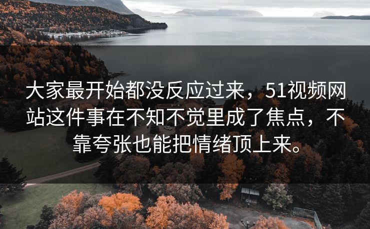 大家最开始都没反应过来，51视频网站这件事在不知不觉里成了焦点，不靠夸张也能把情绪顶上来。  第1张
