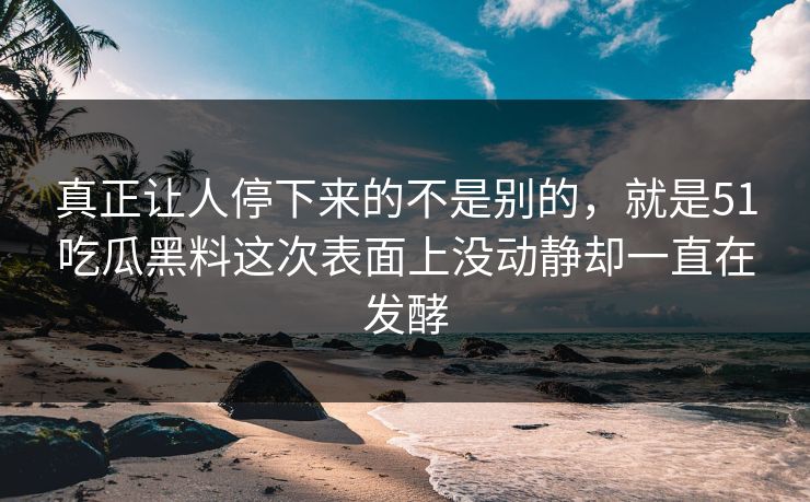 真正让人停下来的不是别的，就是51吃瓜黑料这次表面上没动静却一直在发酵  第1张